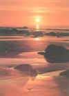 Cambrian_Sunset.jpg (33929 bytes)