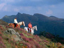 Pony Trekking Cader Snowdonia, North Wales