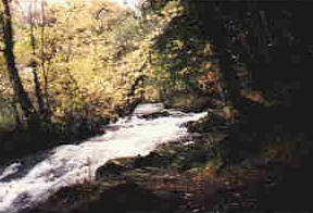 Upper reaches, River Mawddach